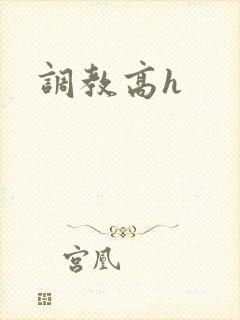 调教高h