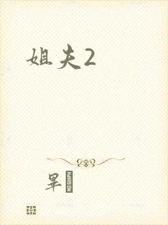 姐夫2