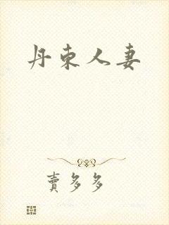 丹东人妻封面