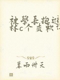 被学长抱进小树林c个爽软件