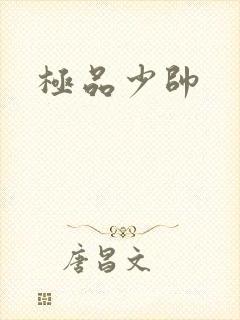 极品少帅