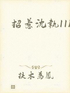招惹沈执11h封面