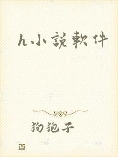 h小说软件