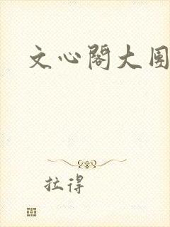 文心阁大团结封面