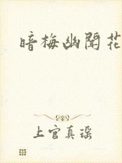 暗梅幽闻花