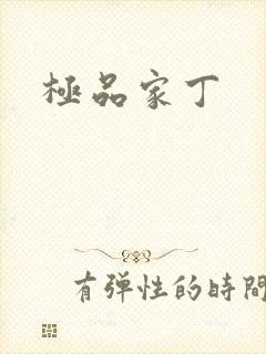 极品家丁