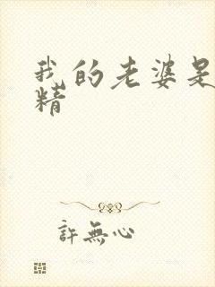 我的老婆是狐狸精封面
