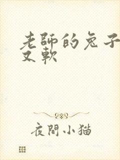 老师的兔子又大又软