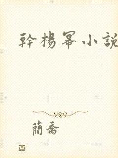 干杨幂小说