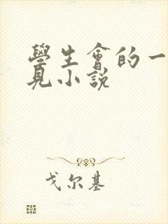 学生会的一己之见小说