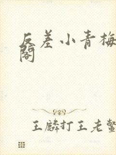 反差小青梅笔趣阁封面