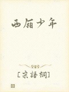 西厢少年