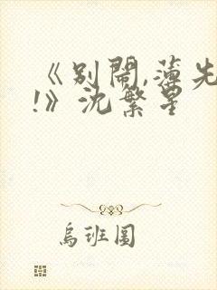 《别闹,薄先生!》沈繁星