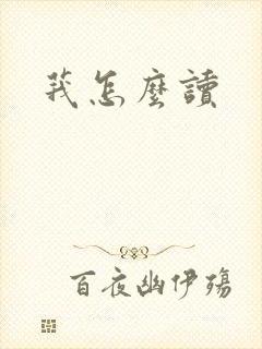 莪怎么读封面