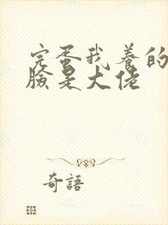 完蛋我养的小白脸是大佬