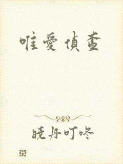 唯爱侦查