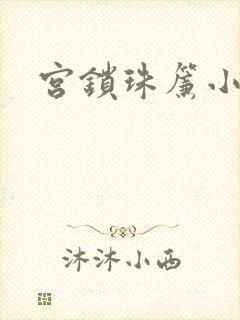 宫锁珠帘小说