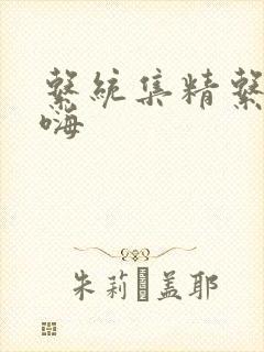 系统集精系统高嗨