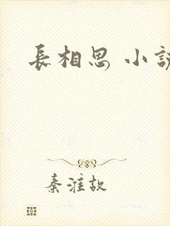 长相思 小说封面