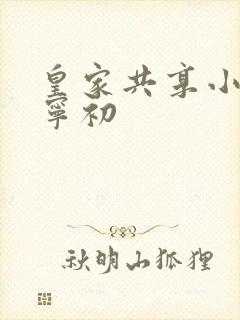皇家共享小公主宁初