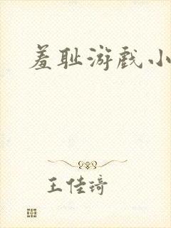 羞耻游戏小说