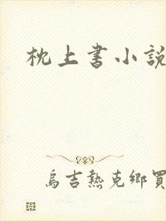 枕上书小说