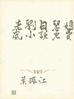 老刘日儿媳妇张岚小说免费阅读