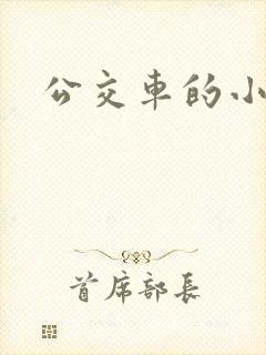 公交车的小说