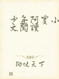 少年阿宾小说全文阅读