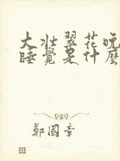 大壮翠花晚上不睡觉是什么电视剧封面