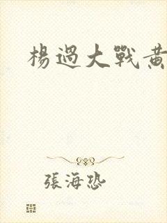 杨过大战黄蓉