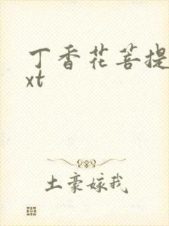 丁香花菩提树txt封面