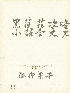 黑莲花攻略手册小说全文免费阅读笔趣阁