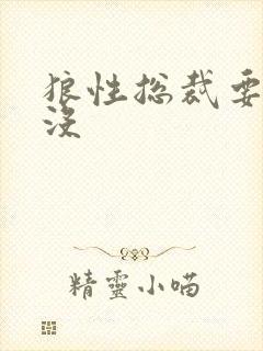 狼性总裁要够了没
