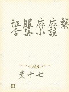 征服麻麻系列大合集小说