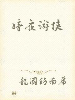 暗夜游侠
