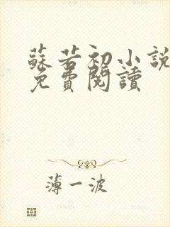 苏若初小说全文免费阅读