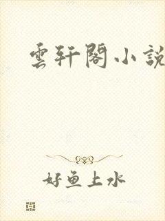 云轩阁小说网