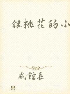 银桃花的小说