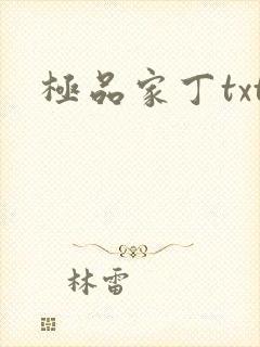 极品家丁txt