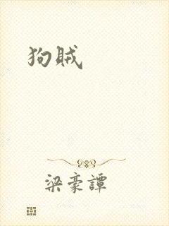 狗贼封面