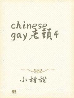 chinesegay老头4