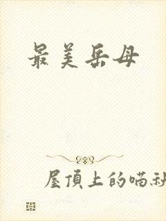 最美岳母