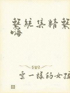 系统集精系统高嗨