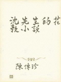 沈先生的花式调教小说