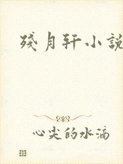 残月轩小说网