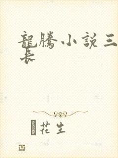 龙腾小说三宝局长