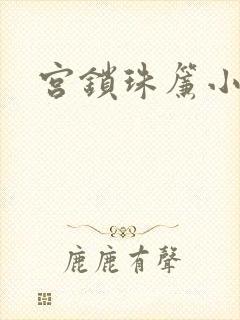 宫锁珠帘小说封面