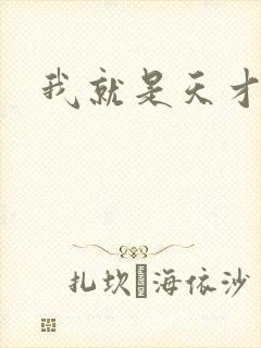 我就是天才