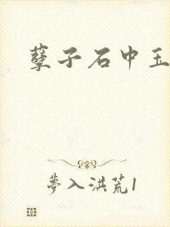孽子石中玉